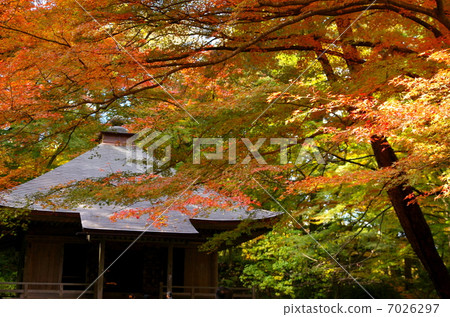 中尊寺庫保持的佛經 7026297