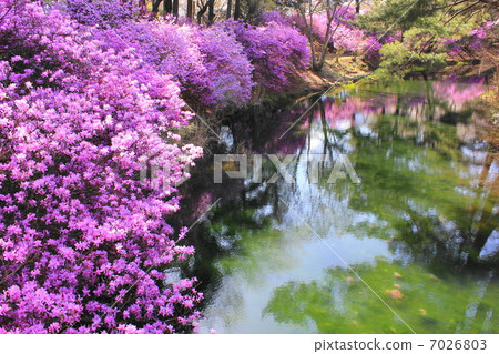 Mummingsuka Park Mummingsuka Park 7026803