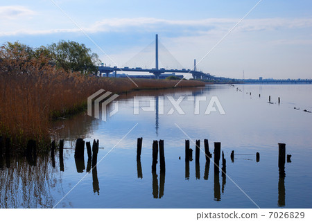 天空從荒川的河流傳播看看豎琴橋和河上反映的景色 天空從荒川的河流傳播看看豎琴橋和河上反映的景色 7026829