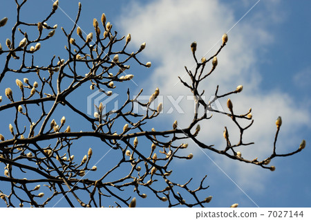 Hakkukuren - 2 7027144