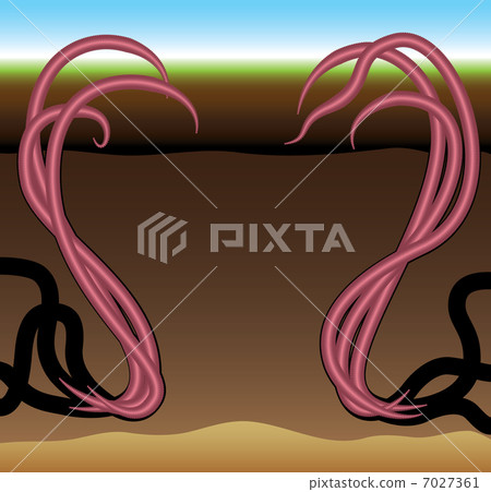 Worms frame - Stock Illustration [7027361] - PIXTA