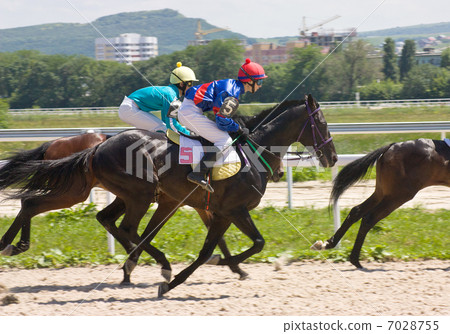 Horse racing. 7028755