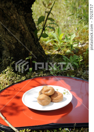 Umeboshi under the plum tree (Minami Takashi) 7028757