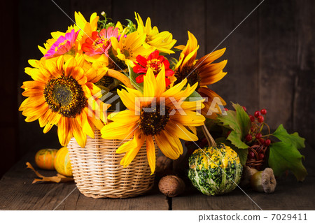 Still life in colours of autumn Still life in colours of autumn 7029411