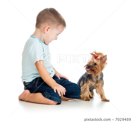 smiling child playing with a puppy dog isolated on white 7029489