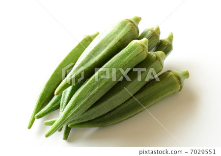 Okra Okra 7029551