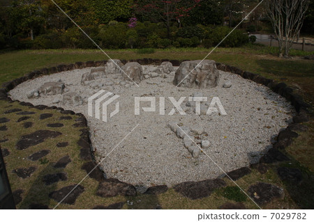 變白的水 7029782