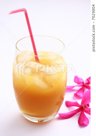 果汁和蘭花花 7029804