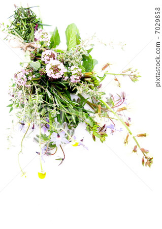 藥草花自然花束 藥草花自然花束 7029858