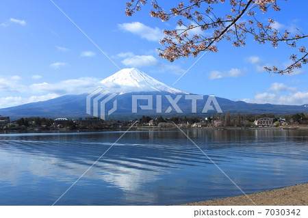 Mt. Fuji from Kawaguchiko 7030342