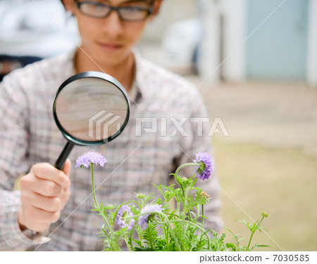 A man observing flowers with a magnifying glass. A man observing flowers with a magnifying glass. 7030585
