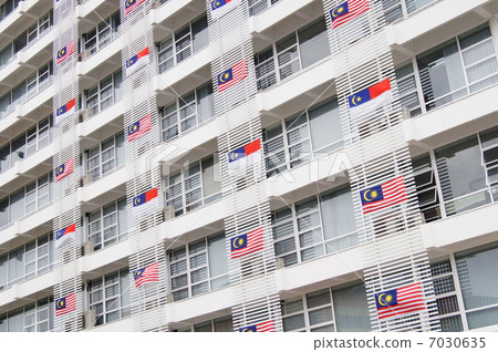 國旗聯合主演 7030635