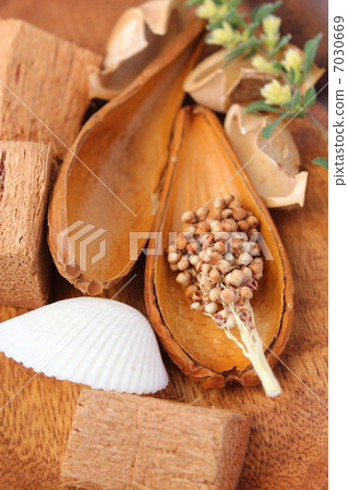 百花香 - 海洋氣味 百花香 - 海洋氣味 7030669