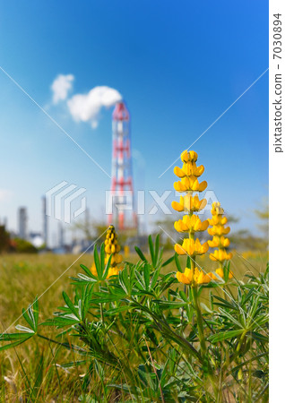 Spring in the industrial area 7030894