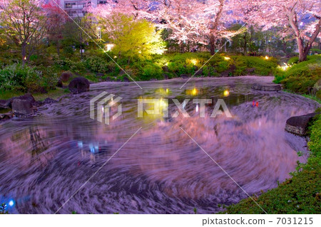Mouri garden in spring 7031215