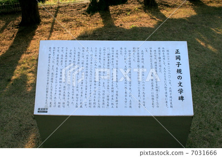 Visit the beautiful park of Verny overlooking Yokosuka Port 7031666