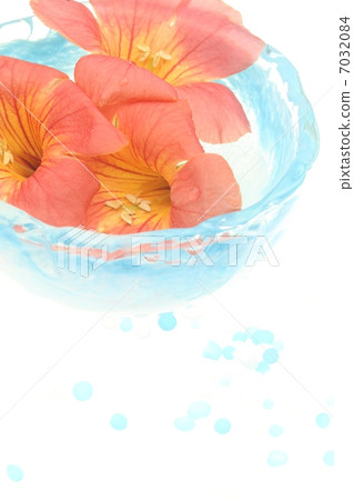 Summer image Nozen Kazura and marine blue glassware 7032084