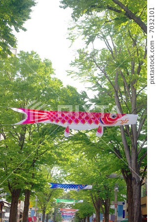 Isezaki·Mall的新鮮綠色和鯉魚旗 7032101