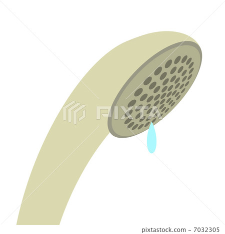 shower head shower head 7032305