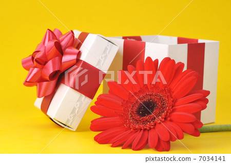 gift box and red flower gift box and red flower 7034141