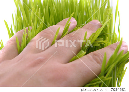 hand touch grass hand touch grass 7034681