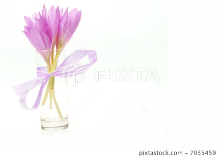 bouquet of crocus bouquet of crocus 7035459
