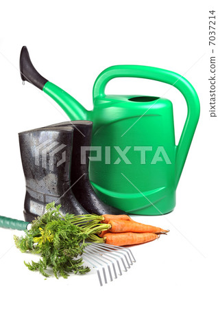 carrot and gardening tools 7037214