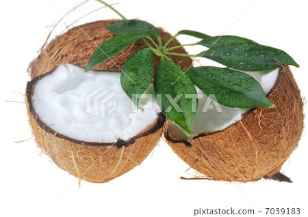 coconut and leaves 7039183