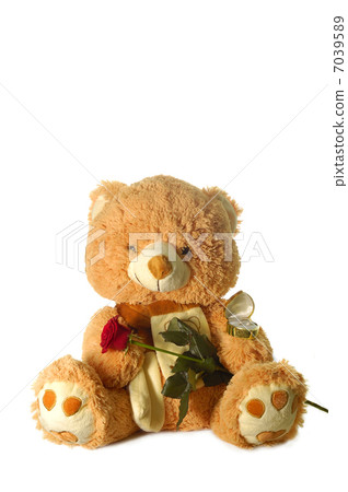toy bear toy bear 7039589