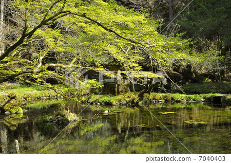 Yamabushi water source Yamabushi water source 7040403