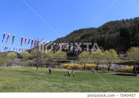 Minami Yatsugatake花卉公園的鯉魚飄帶 7040487