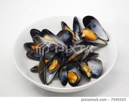 mussels mussels 7040505