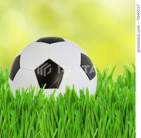 soccer ball in grass soccer ball in grass 7040557