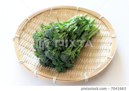 棒Senor 棒Senor 7041663