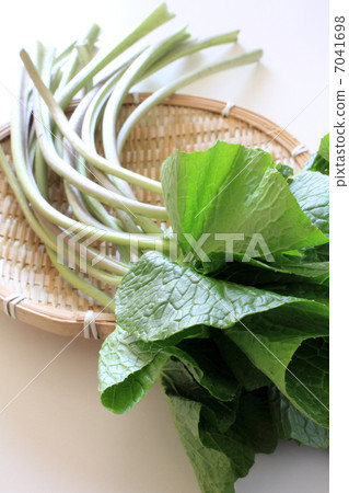 Wasabi's stem 7041698