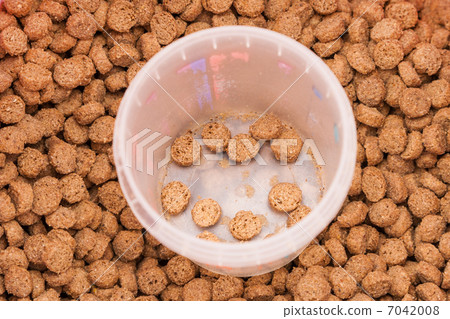 dry grained pets food with measured glass 7042008