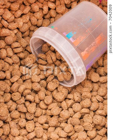 dry grained pets food with measured glass dry grained pets food with measured glass 7042009