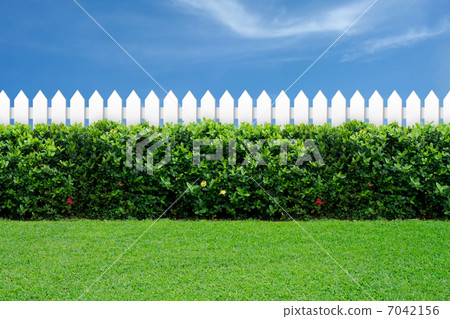 White fence and green grass 7042156