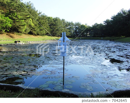 Misogi池塘 7042645