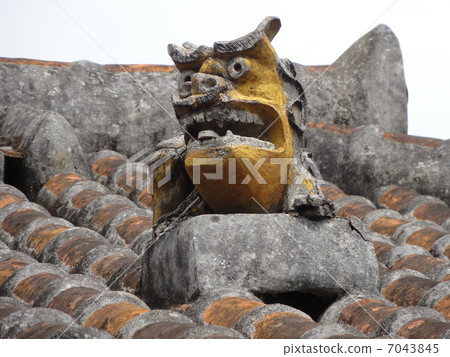 SHISA SHISA 7043845