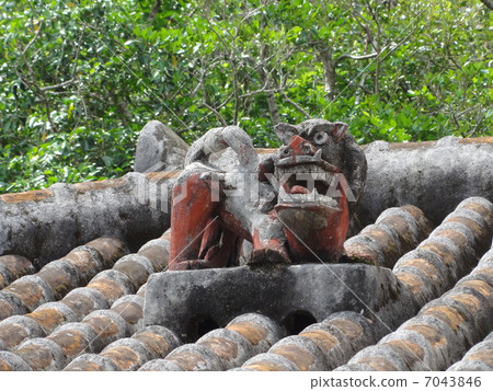 SHISA SHISA 7043846