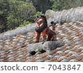 SHISA 7043847