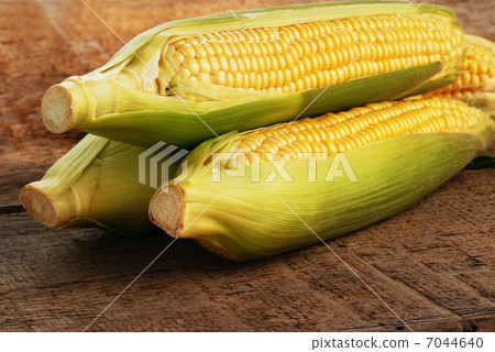 Fresh corn 7044640