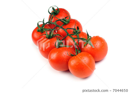 Fresh tomatoes Fresh tomatoes 7044650