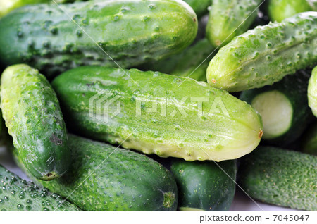 green cucumbers. green cucumbers. 7045047