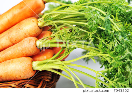 fresh carrot 7045202