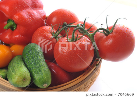 vegetables in the basket vegetables in the basket 7045669