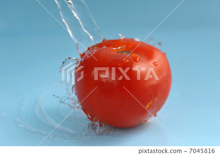 Tomato and water splashes Tomato and water splashes 7045816