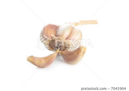 Fresh garlic 7045904