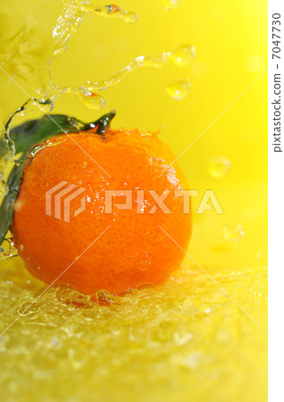 tangerine and water splashes 7047730